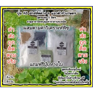 ปุ๋ย AB สำหรับผักสลัด (แถมฟรีอาหารเสริมทางใบ)A=5L. B=5L. มีปัญหาทางร้านยินดีให้คำปรึกษา