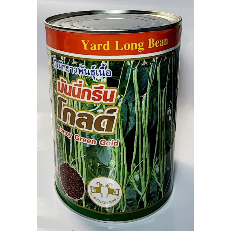 ถั่วเนื้อ เมล็ดถั่วฝักยาวพันธุ์เนื้อ มันนี่กรีนโกลด์ ขนาด 500 กรัม / 100กรัม  ตราแพะทอง