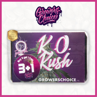 K.O. Kush (Photo) - Growers Choice เมล็ด กัญชา นำเข้าแท้100% เมล็ดเพศเมีย