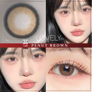 คอนเเทคเลนส์ Lovelylens Penut brown