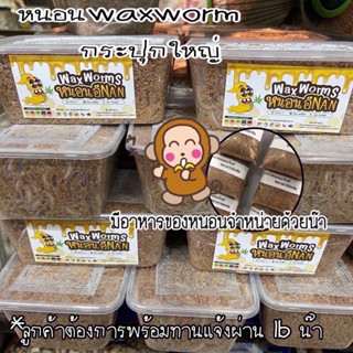 หนอนแว๊กซ์ Waxworms หนอนน้ำผึ้ง