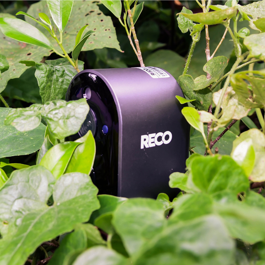 รูปภาพ 6