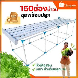 ชุดปลูกผักไฮโดรโปนิกส์น้ำวน150ช่อง