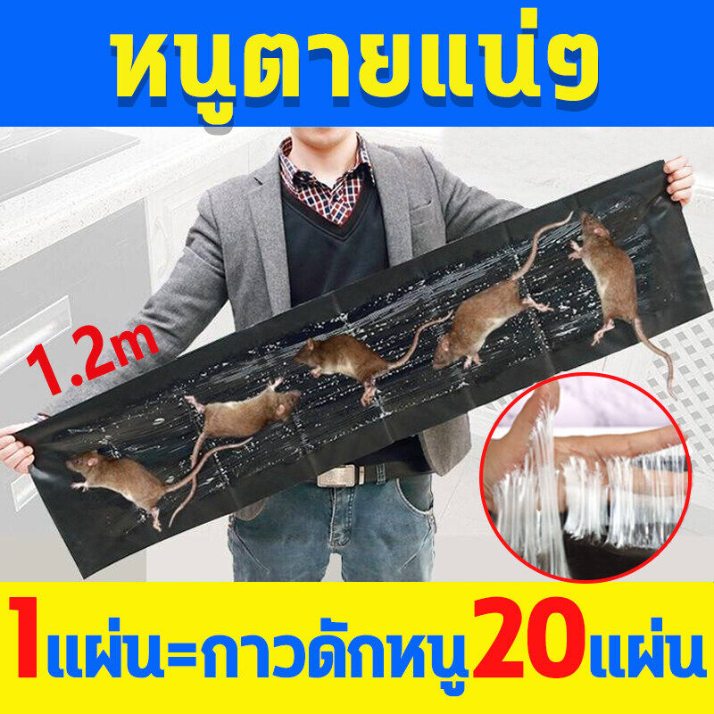 หนูสัมผัสแล้วก็หนีไม่พ้น กาวดักหนู กาวดักหนู ยกลัง กาวดักหนู แน่นๆ เหนียวหนึบพิเศษ ติดทน ปลอดสารพิษ เพิ่มกาวน้ำ กันน้ำ