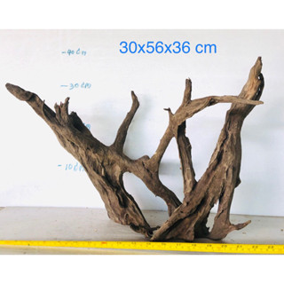 รากไม้ แต่งตู้ปลา ตอไม้ ขอนไม้ driftwood ตอไม้แต่งสวน