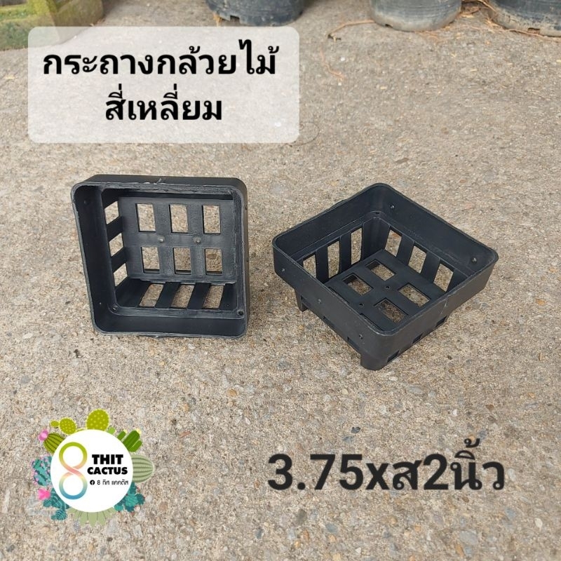 // กระถางกล้วยไม้ 3 นิ้ว (3.75") // สี่เหลี่ยม สูง2นิ้ว // พลาสติก เกษตร ต้นไม้