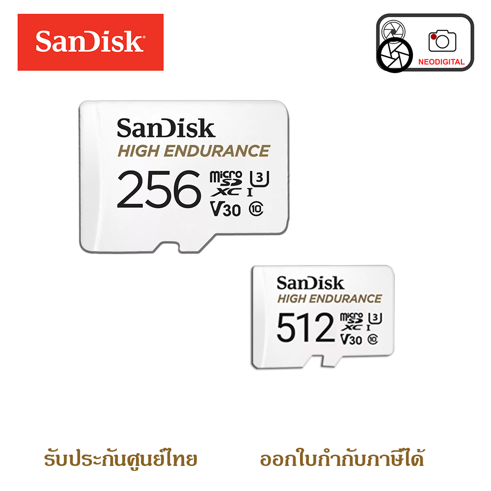 Sandisk High Endurance 256GB Card