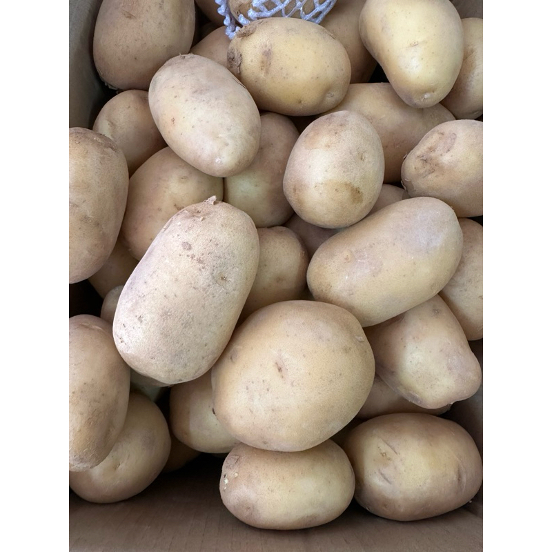 มันฝรั่งนอก potato 1kg