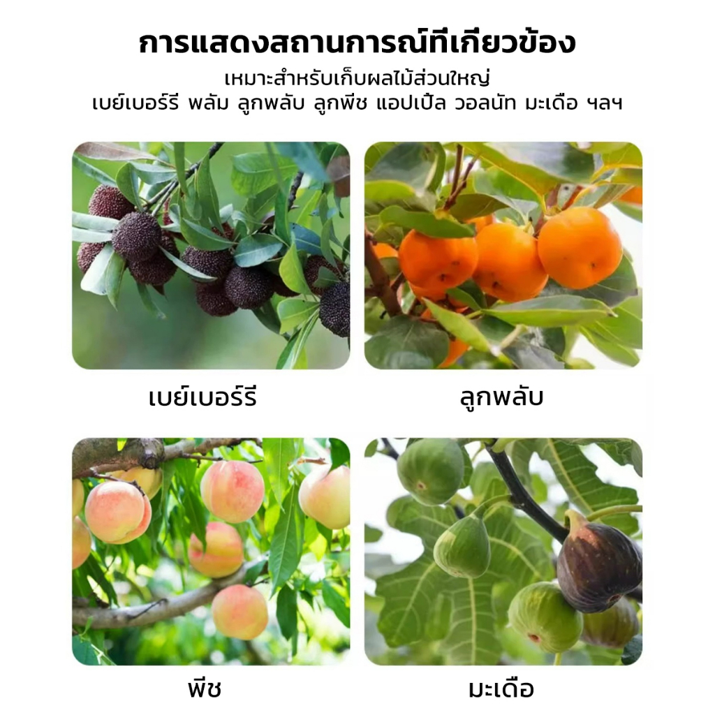 ตะกร้อเก็บผลไม้  เครื่องมือทำสวน   Fruit picking