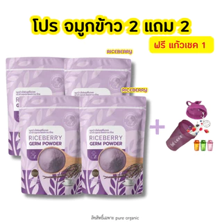 จมูกข้าวไรซ์เบอร์รี่ 2 แถม 2 + แถมฟรีแก้วเชค 1 ใบ ถุงละ 500 กรัม