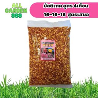 ปุ๋ยละลายช้า สูตรเสมอ 4เดือน มัลติเทค 16-16-16 สำหรับไม้ใบ ไ…