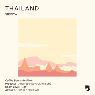 เมล็ดกาแฟ คั่วอ่อน - Thailand Sirinya Amarone