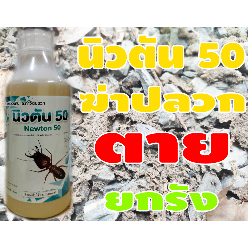 นิวตัน 50 ยากำจัดปลวกตายถึงรัง สูตรไร้กลิ่น ไม่มีคราบตกค้าง ยาปลอดภัยต่อคนมี อย.