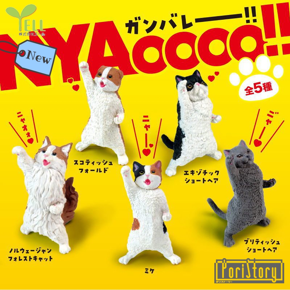 [มือ1] กาชาปองน้องแมว NYAoooo!! Gashapon (5.5 - 6 cm) พร้อมไข่และใบปิด (Yell)