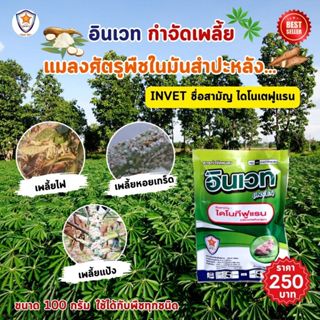 กำจัดเพลี้ย ในต้นมันสำปะหลัง เช่นเพลี้ยแป้ง เพลี้ยหอย เพลี้ย…