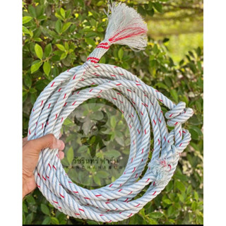 เชือกคล้องวัว ตรากวาง