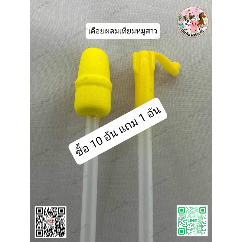 เดือยโฟมผสมเทียม หมูสาว-หมูนาง (50 อัน) (100 อัน) ราคาส่ง