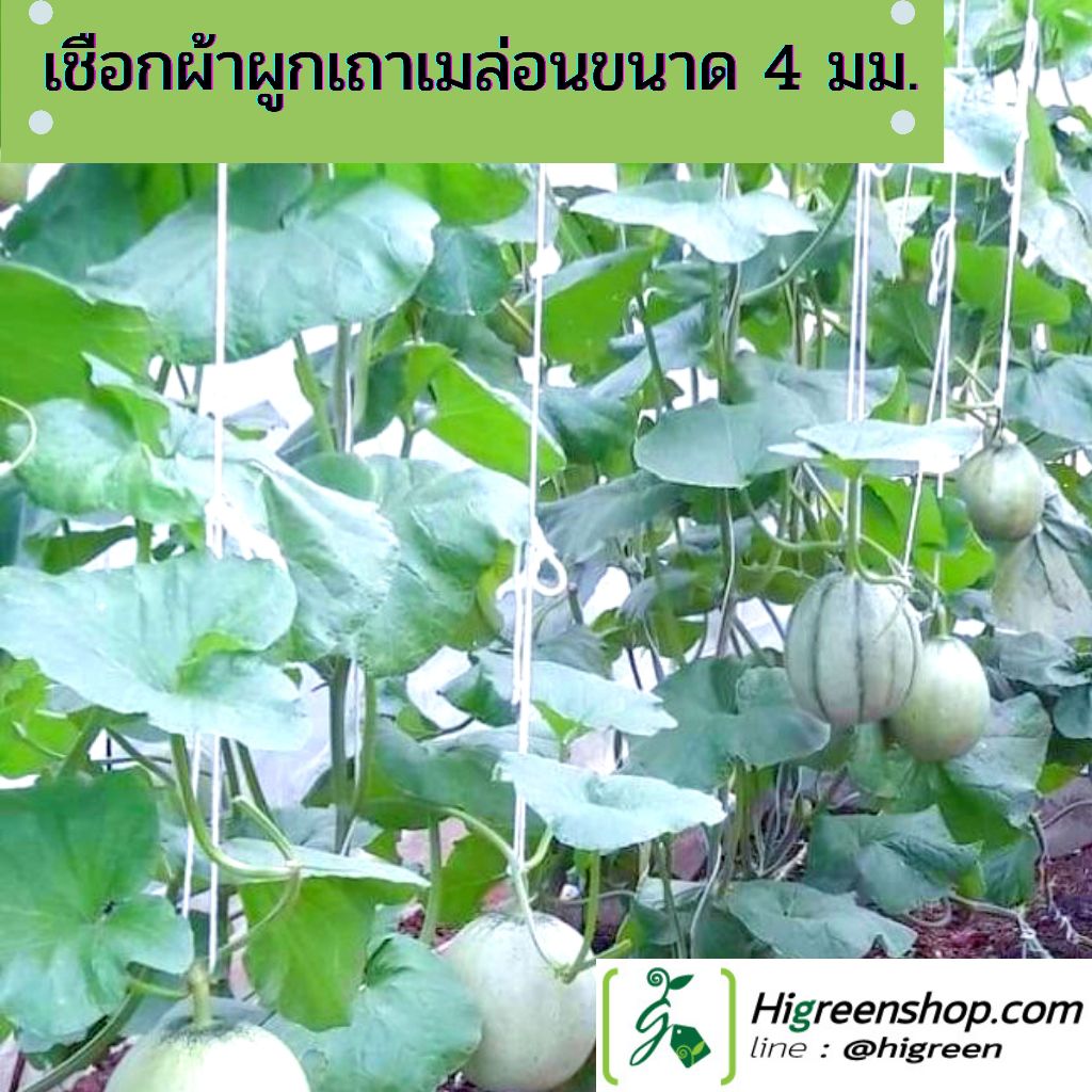 เชือกผ้าผูกเถาเมล่อนขนาด 4 มม. (จำนวน 1050-1200 เมตร) หรือ  3 กก.