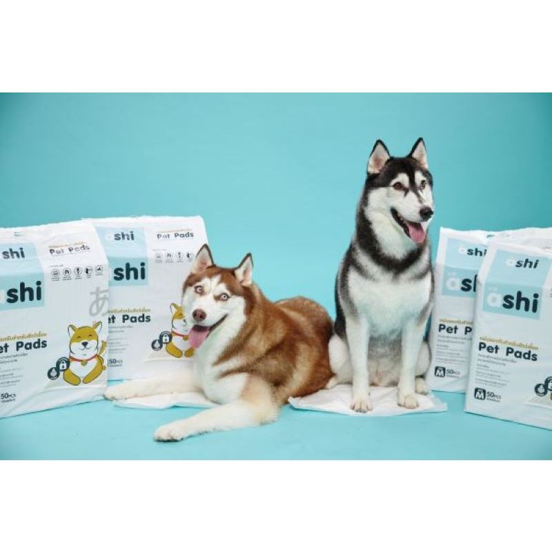 แผ่นรองฉี่สุนัข Ashi Pet Pads แผ่นรองซับ สัตว์เลี้ยง