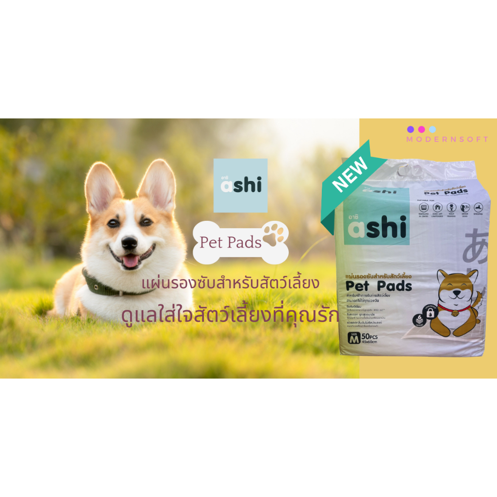 แผ่นรองฉี่สุนัข Ashi Pet Pads แผ่นรองซับ สัตว์เลี้ยง รูปที่ 7