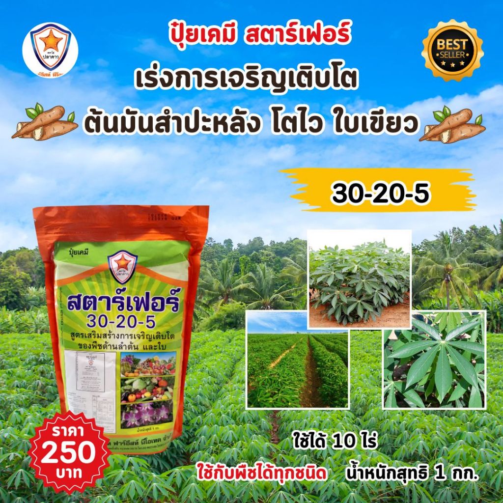ปุ๋ย ฉีดพ่น ต้นมะพร้าวน้ำหอม โตไว ใบเขียว เร่งราก เร่งดอก ผลใหญ่ ดกเต็มต้น น้ำหนักดี เพิ่มผลผลิต โดย สตาร์เฟอร์