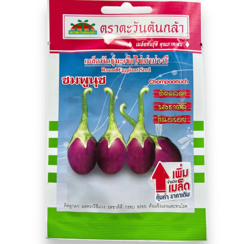 มะเขือไข่เต่า ม่วงรี ชมพูนุช (ประมาณ 100 เมล็ด)