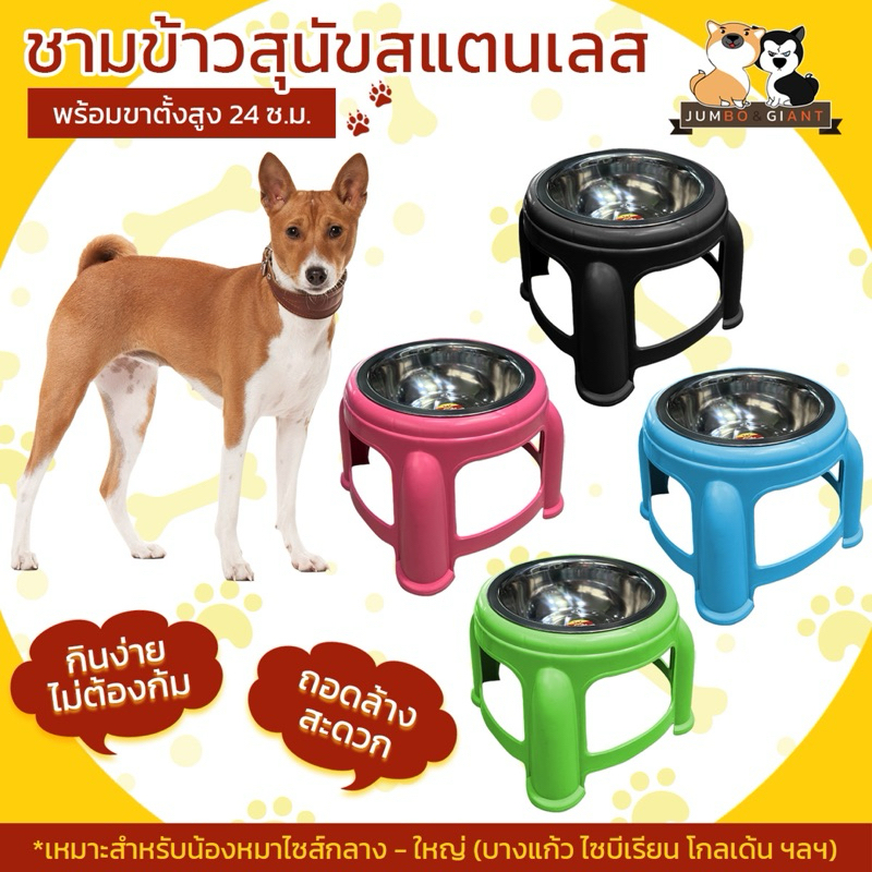 ชามอาหารสุนัข ขนาดกลาง สูง 24 ซม. ถอดล้างได้