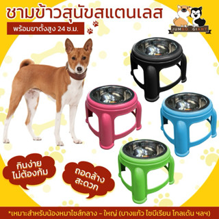 ชามอาหารสุนัข ขนาดกลาง สูง 24 ซม. ถอดล้างได้
