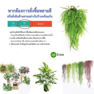 รวมต้นไม้ประดับช่อแขวนหลากชนิด ต้นไม้ประดิษฐ์ สวยงามเสมือนจริง (พร้อมส่งในไทย ถึงเร็วทันใจ)