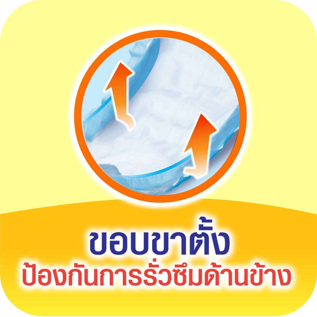 รูปภาพ 7