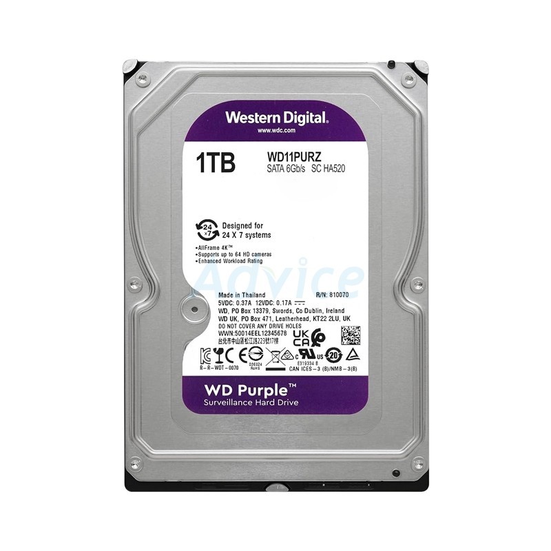 WD 1 TB HDD CCTV PURPLE (5400RPM, 64MB, SATA-3, WD11PURZ) - A0154795