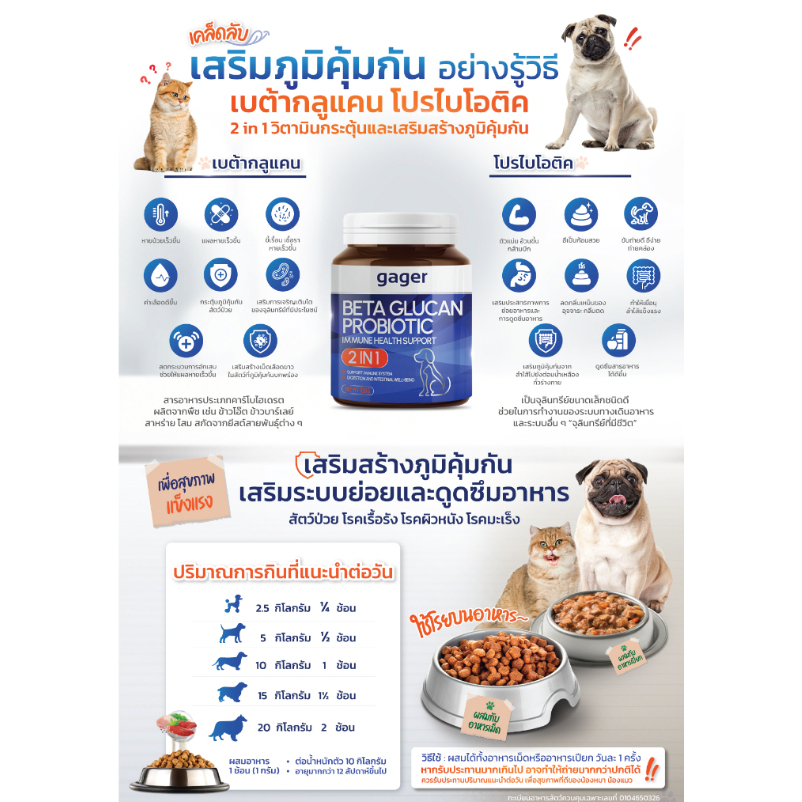 รูปภาพ 7