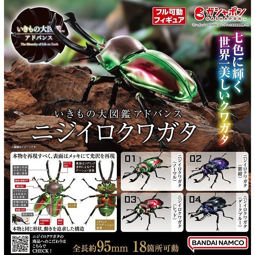 (เพิ่มเขียวพร้อมส่ง) กาชาปองด้วงคีมเรนโบว์ Gashapon Bandai Premium Kuwagata Rainbow Stag Beetle Phal