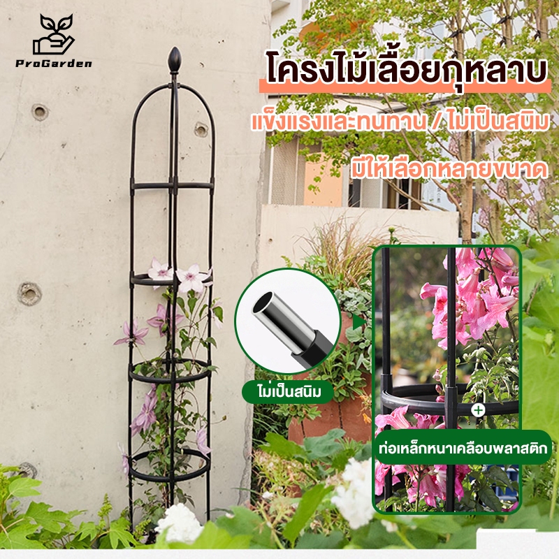 PGโครงไม้เลื้อย โครงกุหลาบเลื้อย ซุ้มกุหลาบ ซุ้มกุหลาบเลื้อย ท่อเหล็กเคลือบPEกันสนิม โครงเหล็กดัด ส่วนสูง: 115/145/175cm