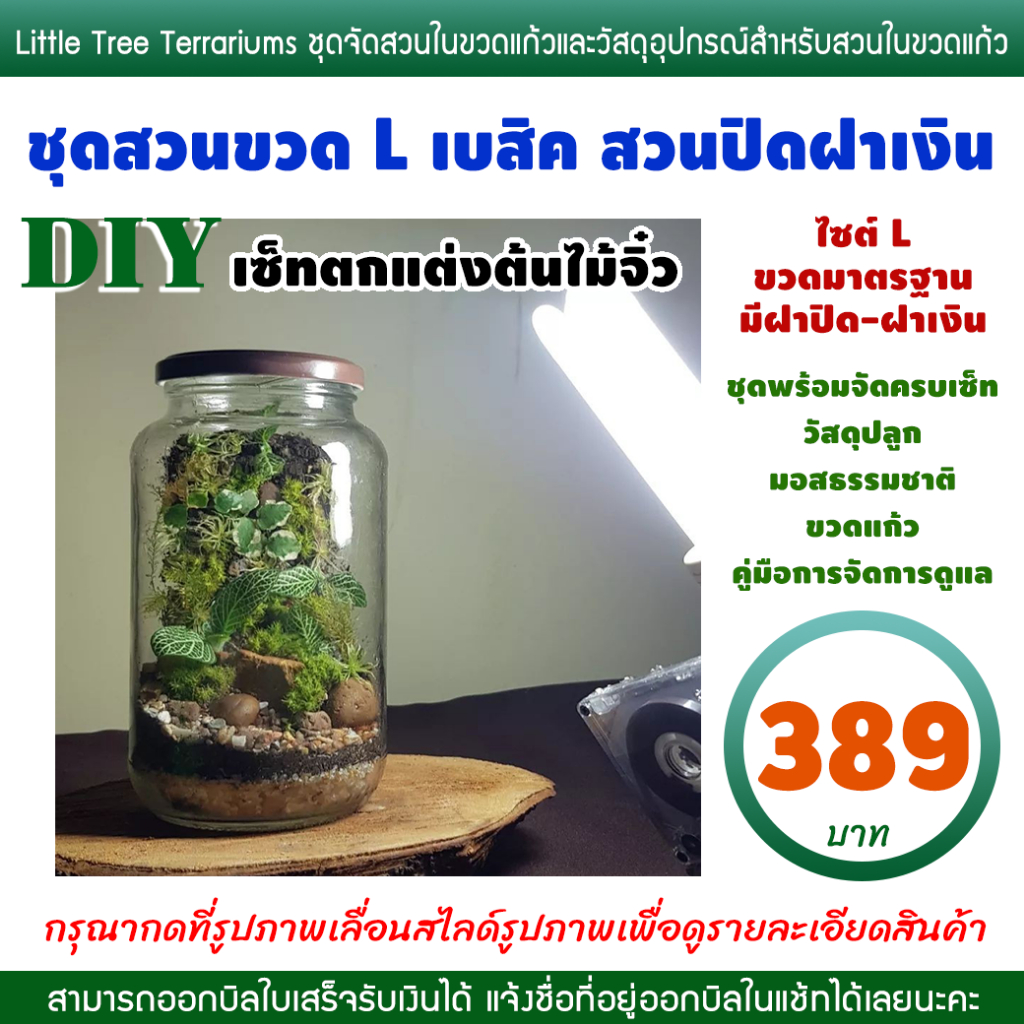 ชุดจัดสวน ขวดแก้ว DIY ขวดไซต์ L เบสิค