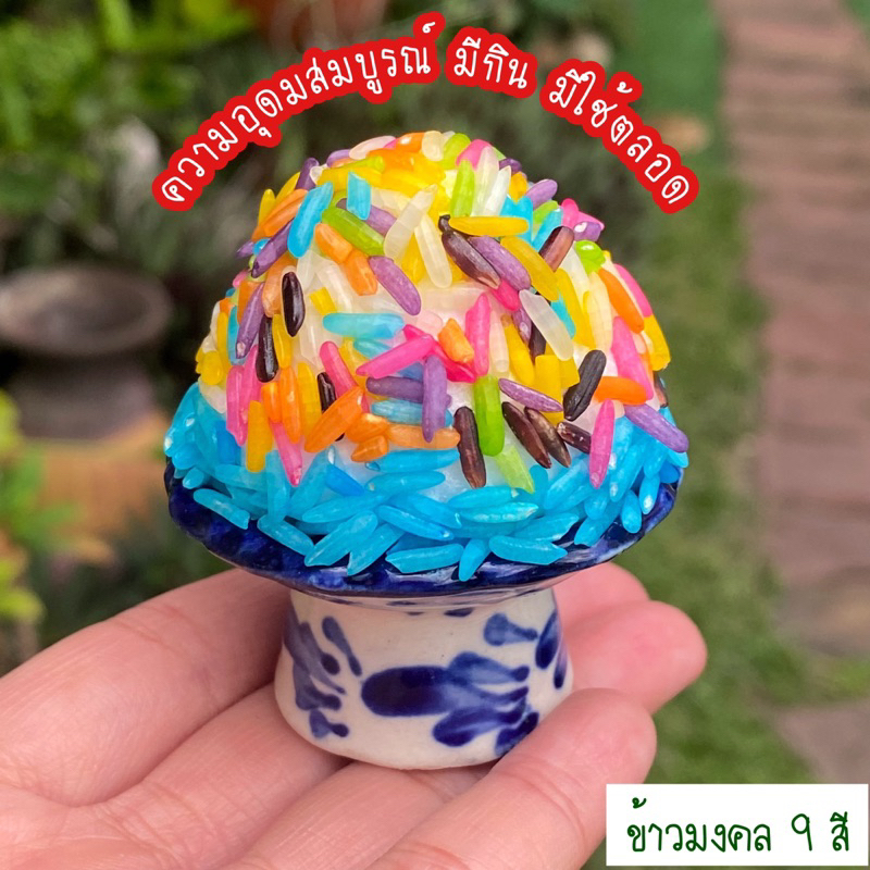 ชุดไหว้พระพิฆเนศ เทพฮินดู ข้าวมงคล 9 สี ธัญพืชมงคล 9 อย่าง รูปที่ 3