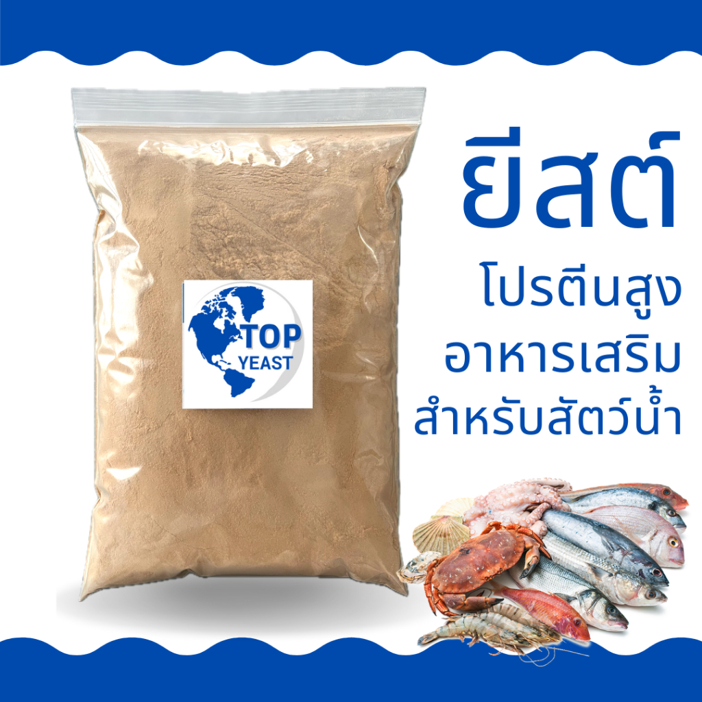 Top Yeast กากยีสต์เบียร์ อาหารสัตว์  ยีสต์เบียร์ กากเบียร์ โปรตีนสูง Brewery yeast อาหารเสริมสำหรับสัตว์ปีก