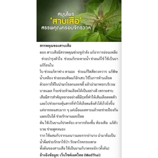 สบู่สมุนไพร สูตรหมอเขียว สวนป่านาบุญ แพทย์วิถีธรรม
