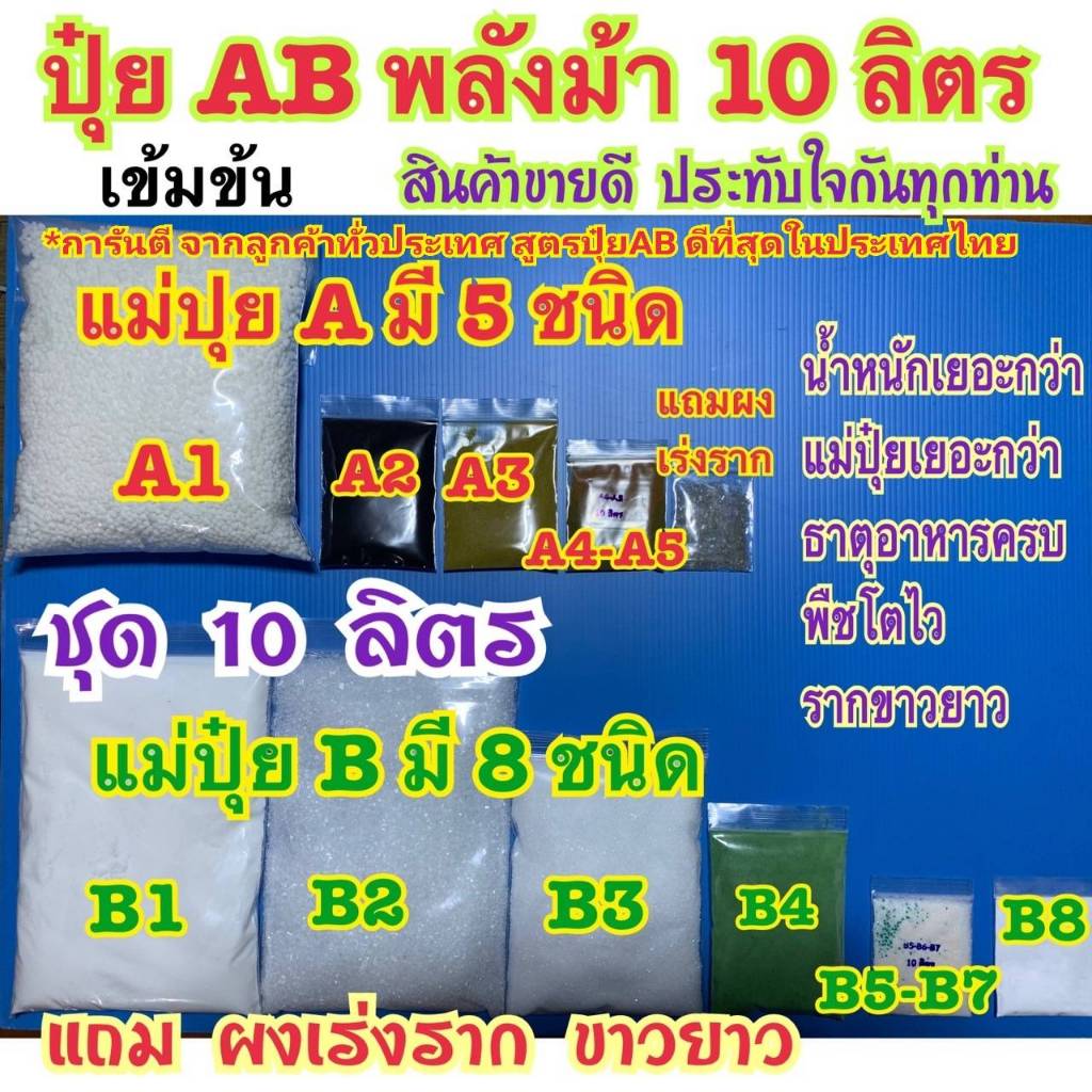 ปุ๋ย AB ชุด10 ลิตร สูตรพลังม้าเข้มข้น สำหรับผักไฮโดรโปนิกส์ ทั้งน้ำวน และน้ำนิ่ง และฉีดพ่นทางใบพืชทุ