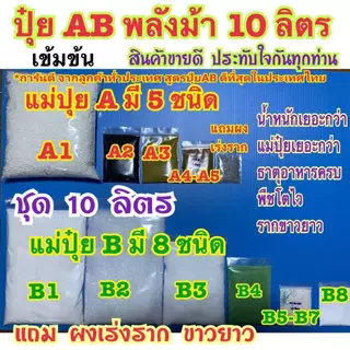 ปุ๋ย AB ชุด10 ลิตร สูตรพลังม้าเข้มข้น สำหรับผักไฮโดรโปนิกส์ ทั้งน้ำวน และน้ำนิ่ง และฉีดพ่นทางใบพืชทุกชนิด แถมผงเร่งราก