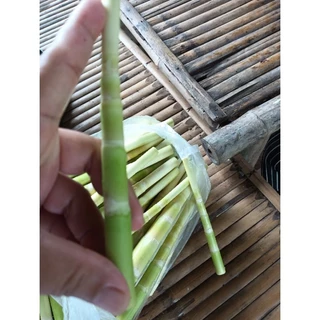 หน่อไม้ต้มแหนงอ่อนๆสั้นๆ บรรจุถุงสุญญากาศ 500 กรัม