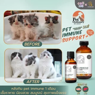 Pet Ordinary Immune Plus+ วิตามินกระตุ้นภูมิคุ้มกัน แมวและสุนัข อาหารเสริม เสริมภูมิคุ้มกันสัตว์เลี้ยง