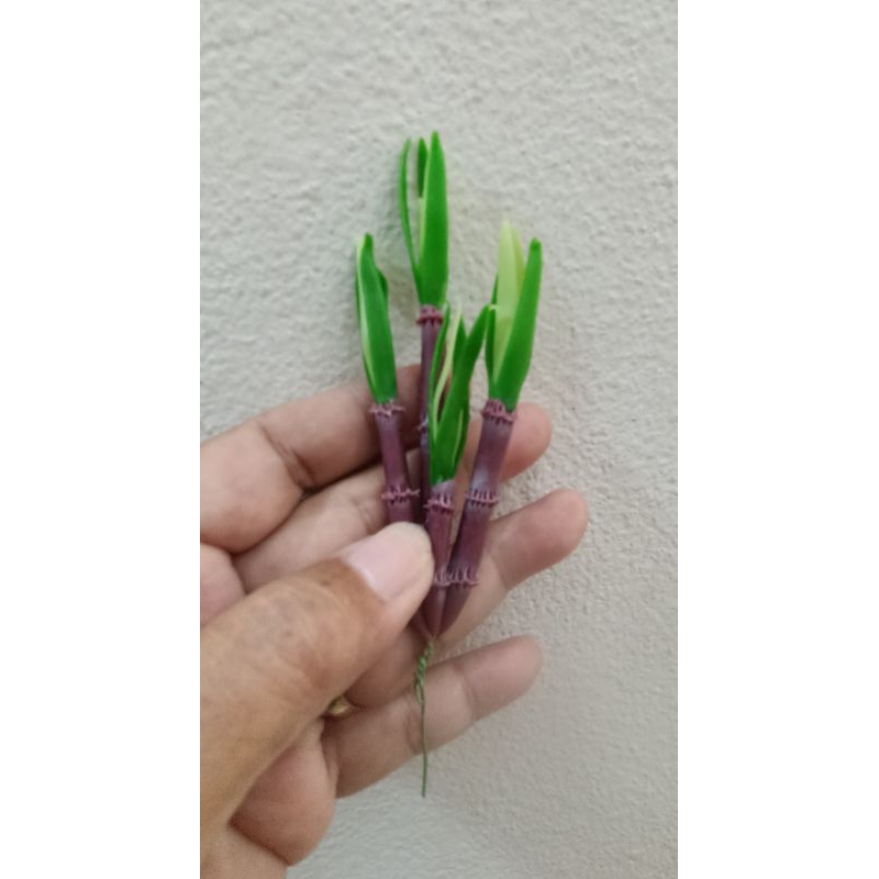 ต้นอ้อยดินปั้นปลายลวด