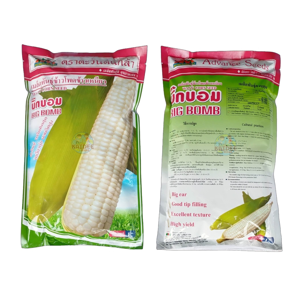 เมล็ดข้าวโพดข้าวเหนียว บิ๊กบอม ตราตะวันต้นกล้า ขนาด1กิโลกรัม  เมล็ดพันธุ์ข้าวโพด เมล็ดพันธุ์ข้าวโพด