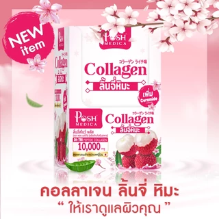 [แท้ 100%] Posh Medica Fiber/Collagen/Chlorophyll พอช เมดิก้า ไฟเบอร์/คอลลาเจน/คลอโรฟิลล์ [6 ซอง][MC Plus แมค พลัส เดิม]