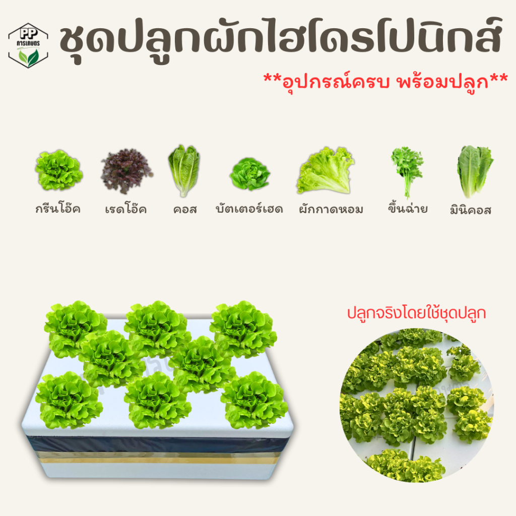 ชุดปลูกผักไฮโดรโปนิกส์ ครบชุดพร้อมปลูก ชุดปลูกผักสลัด (แถมเมล็ดผัก 3 ชนิด)