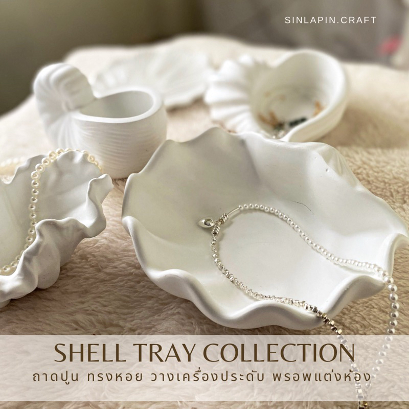New ✨ shell tray collection 🐚 ถาดทรงหอย หลายทรง วางโชว์เป็นพรอพแต่งบ้าน พรอพถ่ายรูปวางเครื่องประดับ  สวยมินิมอล