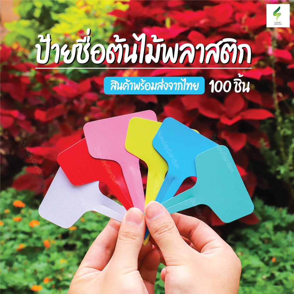 ป้ายพลาสติกรูปตัว T ป้ายชื่อต้นไม้ ขนาด 6*10 ซม ป้ายพลาสติก ป้ายต้นไม้ สวน ป้ายชื่อสวน