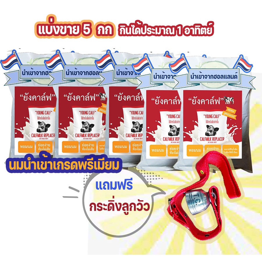 ยังคาล์ฟ นมผง สำหรับสัตว์ นมผงสำหรับลูกวัว ลูกโค กระบือ พรีเมียม แบ่งขาย 5 กก แถมกระดิ่งลูกวัว