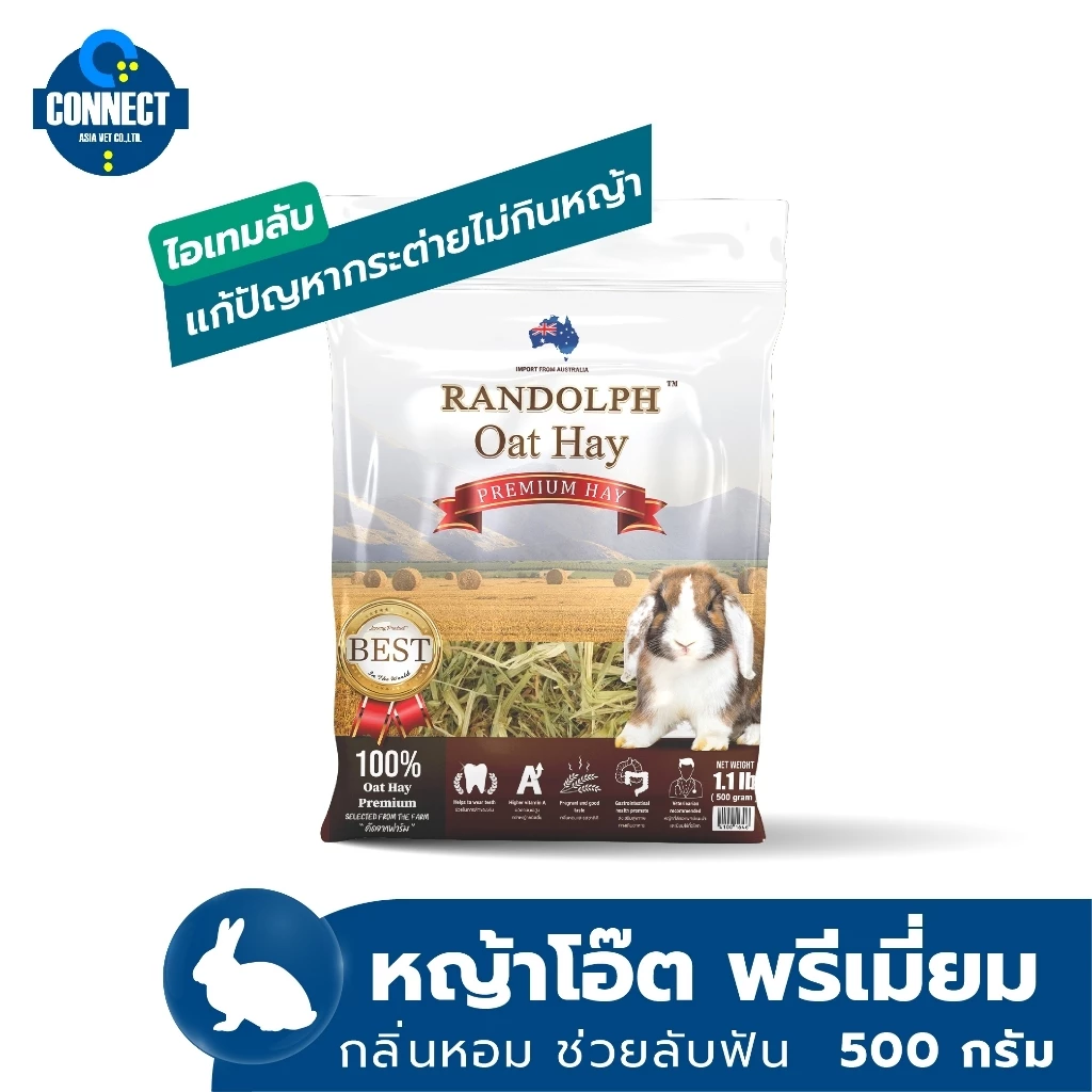 RANDOLPH - หญ้าโอ๊ตกระต่ายแรนดอล์ฟ หญ้าโอ๊ตระยะที่ดีที่สุดสำหรับกระต่ายและสัตว์กินพืชขนาดเล็ก ขนาดถุง 500 กรัม